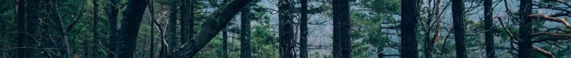 cropped-cropped-home-bg01.jpg